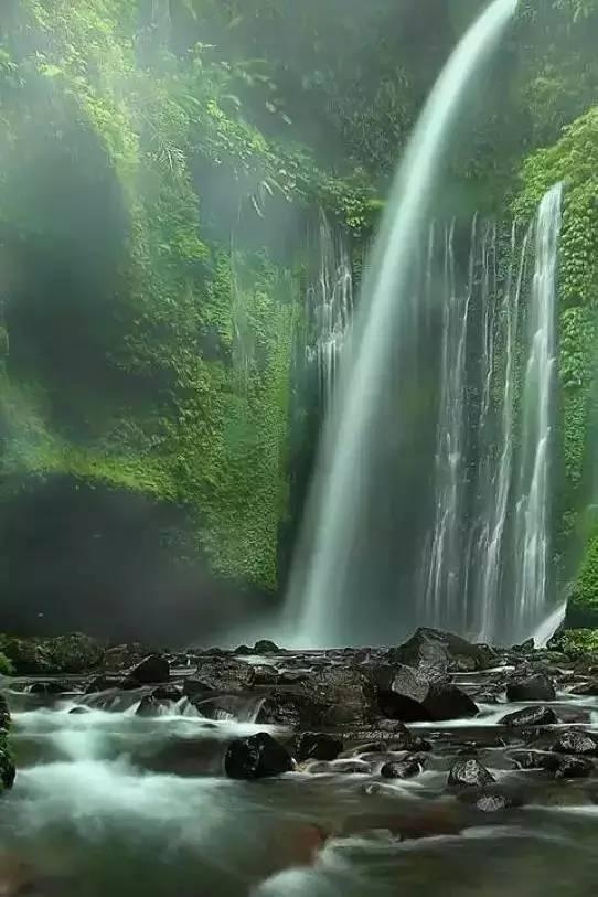 燃烧吧大脑免广告最新版