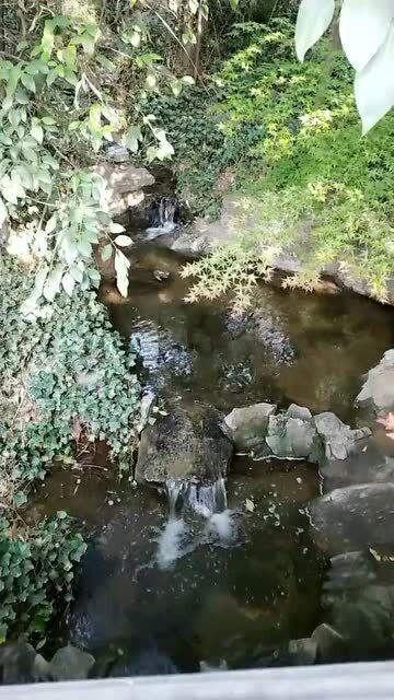 孤岛惊魂3