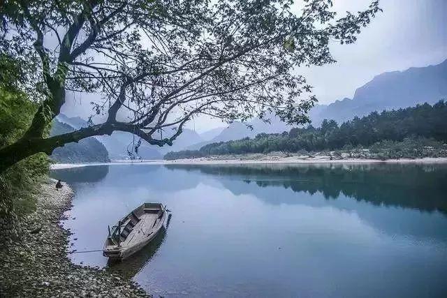 逃离天鹅森林