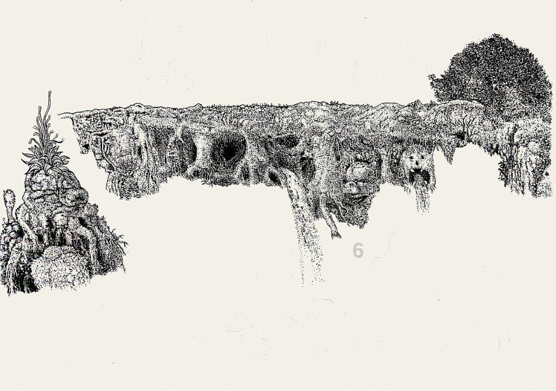 创作猫