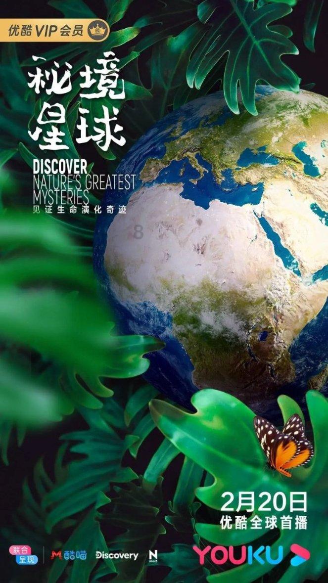 小猫钓鱼开船版最新版下载
