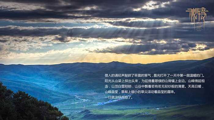 45天猫咪能吃微量元素吗?-机智问答,智能解答疑惑