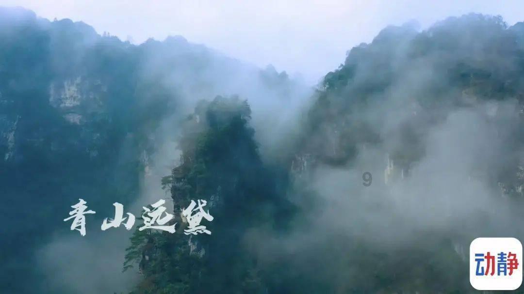 无色透明锌离子溶液 抗菌防霉锌离子分散液 无机锌离子水性分散溶液