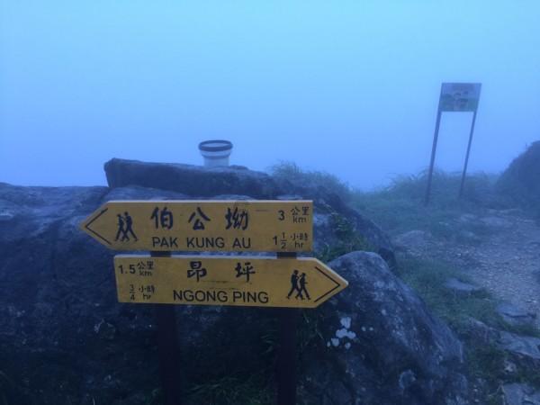 脑洞小老弟无实名认证