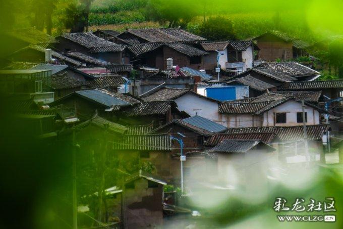 甜蜜糖果岛