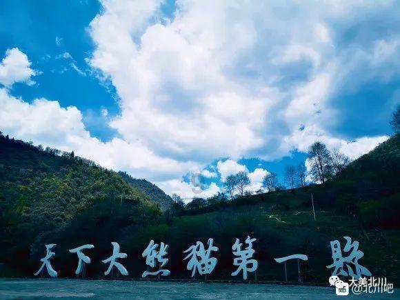 虫虫助手下载