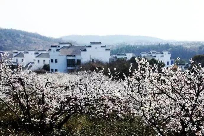 放飞笼中鸟