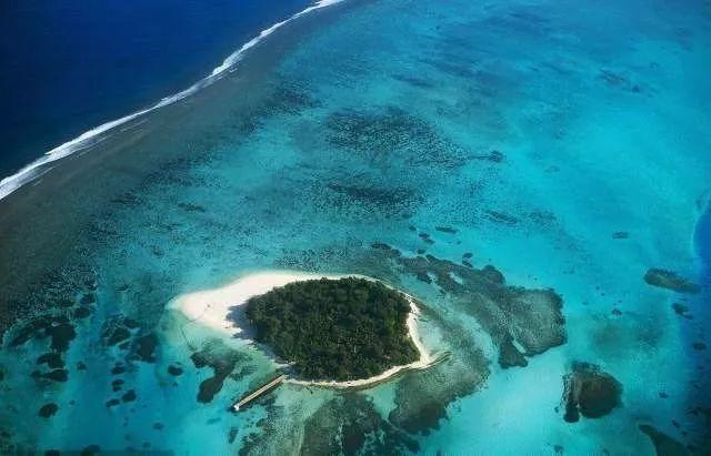 三亚沙滩现多起僧帽水母伤人事件,当地回应:暂无游客中毒 文旅部门已介入处理