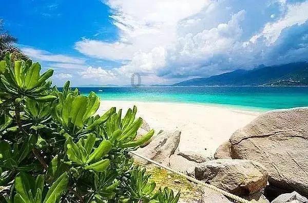 影版《花千骨》票房扑街，赵丽颖力挺也不行，男女主实在是撑不起