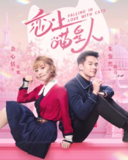 栅栏迷宫