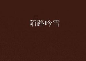 创作猫