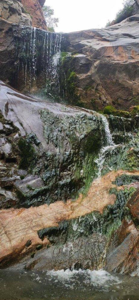 两会好声音丨陈军军：加快永州市天然气输气管道建设