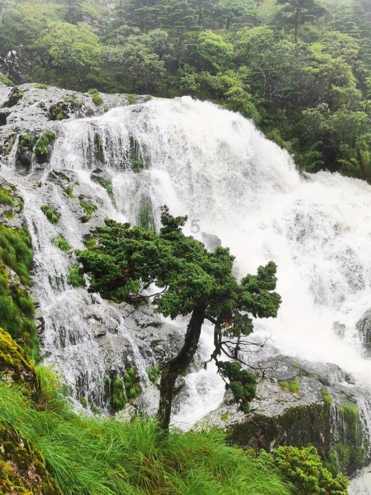 寂静岭：暴雨