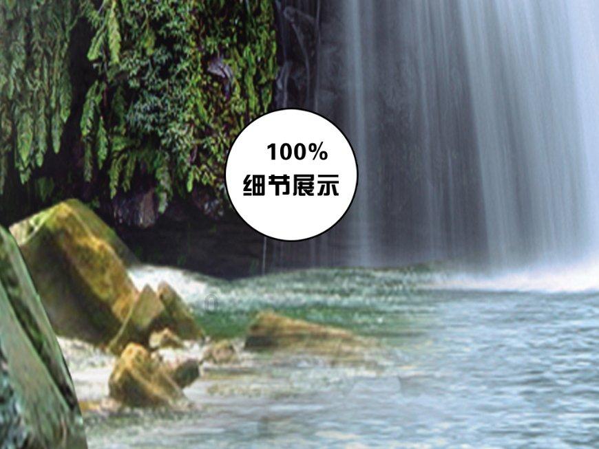 救援萌老虎