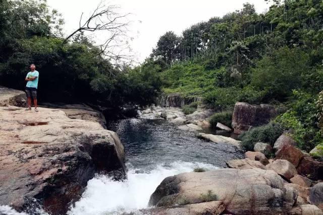 “金鸡”现身山西沁水