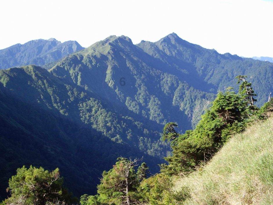 小汪汪
