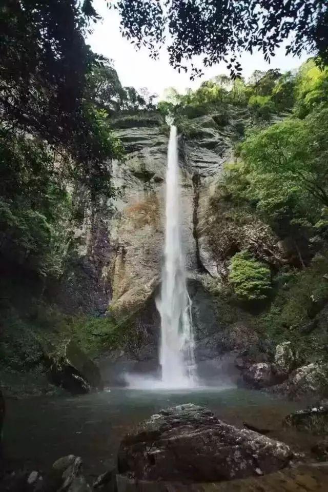 妙鸭相机app下载官网