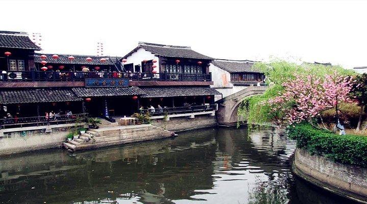 白茶的3种常见喝法，从一人品饮、办公喝茶到多人喝茶，都囊括了