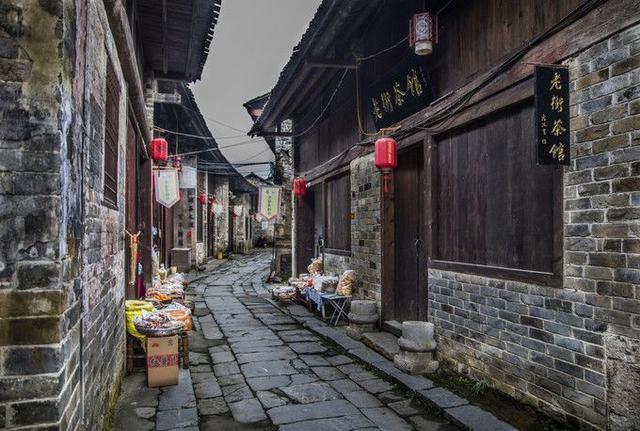 盐和避难所