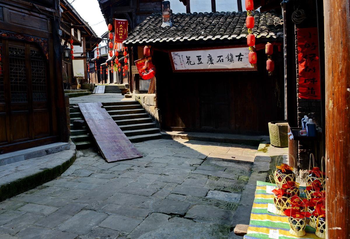 动物帮帮忙保卫家园