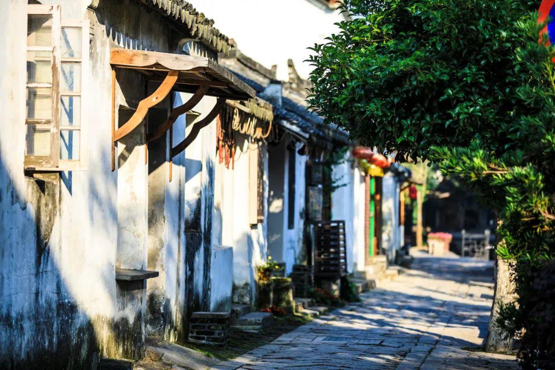 小镇惊魂
