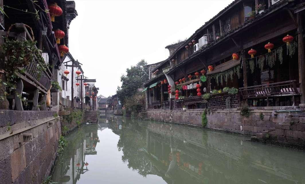 植物大战僵尸18