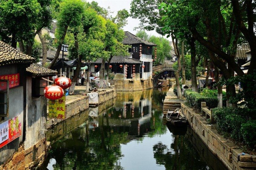 动物帮帮忙保卫家园