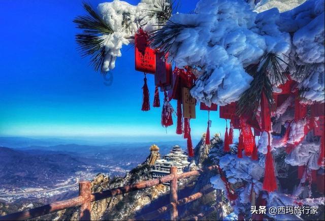 嘉日单词